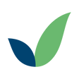 Logo for Gulf Energy Development