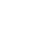 Logotype for NN Inc