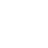 Logotype for Flywire Corporation