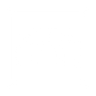 Logotype for Intesa Sanpaolo S.p.A.