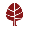 Logotype for MedCap