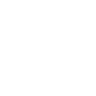 Logotype for Nanoform Finland