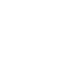 Logotype for SolarEdge Technologies Inc