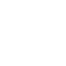 Logotype for Veoneer