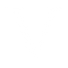 Logotype for Victoria's Secret & Co.