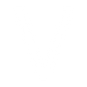 Logotype for Visteon Corporation