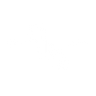 Logotype for StateHouse Holdings Inc