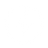 Logotype for The Lion Electric Company