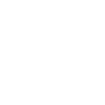 Logotype for Nucleus Software Exports Limited