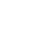 Logotype for Netlist Inc