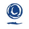 Logotype for Cordiant Digital Infrastructure Limited