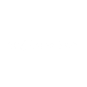 Logotype for Embotelladora Andina S.A.