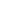 Logotype for Reunion Neuroscience Inc