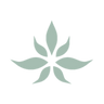 Logotype for The Cannabist Company Holdings Inc