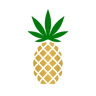Logotype for Pineapple Express Cannabis Company