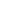 Logotype for Faraday Future Intelligent Electric Inc