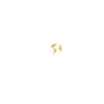 Logotype for Seaboard Corporation