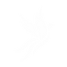 Logotype for Phoenix Spree Deutschland Limited