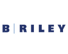 Logotype for B Riley Financial Inc