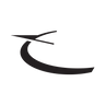 Logotype for Ryder System Inc