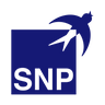 Logotype for SNP Schneider-Neureither & Partner SE