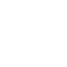 Logotype for CAP-XX Limited