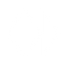 Logotype for Paysafe Limited