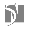 Logotype for 5N Plus Inc