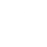 Logotype for Tritium DCFC Limited