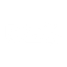 Logotype for DZS Inc