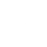 Logotype for Bushveld Minerals Limited