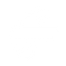 Logotype for Air New Zealand Limited