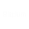Logotype for Bittium Oyj