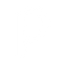 Logotype for Panostaja Oyj