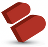 Logotype for BIO-key International Inc