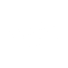 Logotype for Vishay Precision Group Inc
