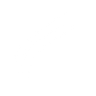 Logotype for ACME Solar Holdings Limited