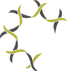 Logotype for Alpine Immune Sciences Inc