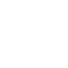 Logotype for Collins Foods Limited
