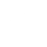Logotype for Vista Group International Limited