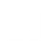 Logotype for Madison Square Garden Entertainment Corp
