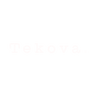 Logotype for Tekova Oy