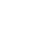 Logotype for Pluribus Technologies Corp