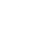Logotype for Integer Holdings Corporation