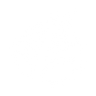 Logotype for Latvian Forest Company