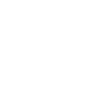 Logotype for 2020 BULKERS