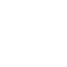 Logotype for Lloyds Metals And Energy Limited