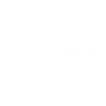 Logotype for Racing Force S.P.A.