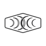 Logotype for Raytelligence