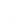 Logotype for Vidrala S.A.